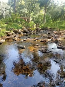 unnamed - 2025-09-24T104457.103